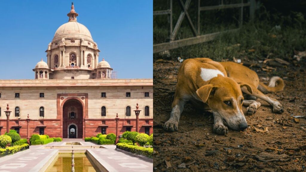 Supreme Court building with stray dog symbolising SC judgement on stray dogs in India 2025